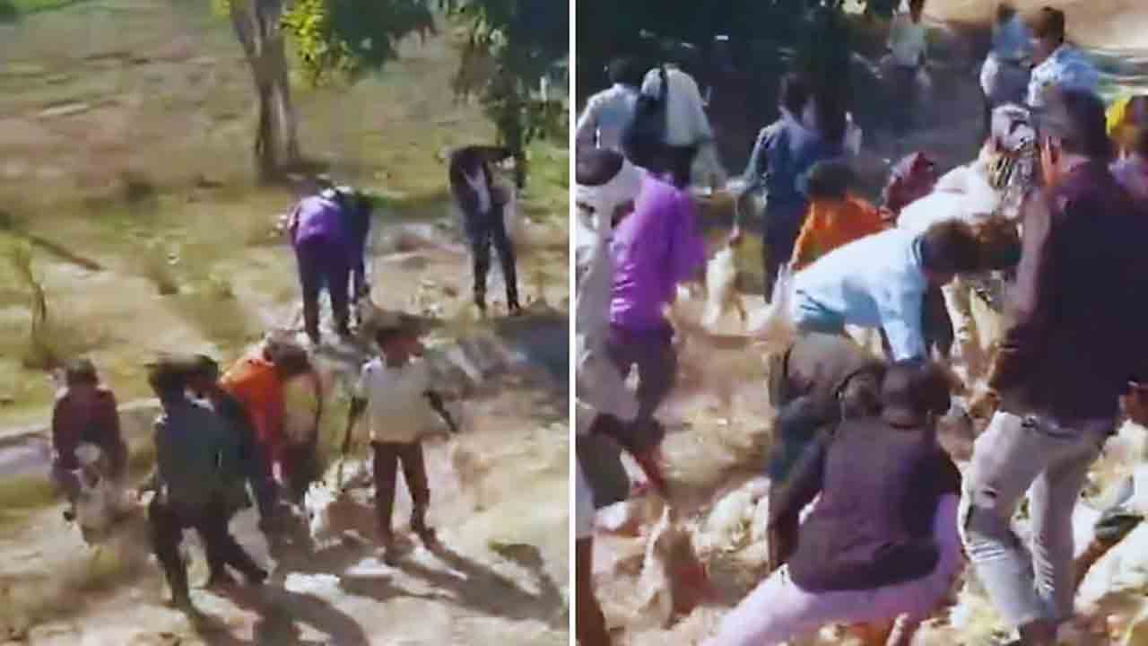 Watch: కోళ్లు రవాణా చేస్తున్న వాహనం బోల్తా.. స్థానికులు ఏం చేశారంటే?