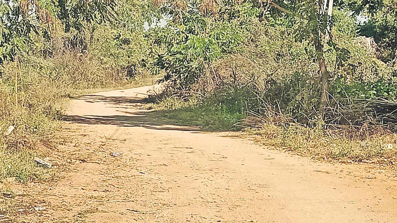 దుబ్బతండాకు దారేది