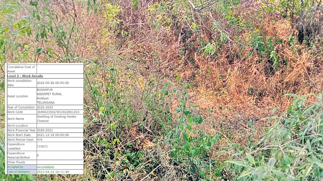 Medak1