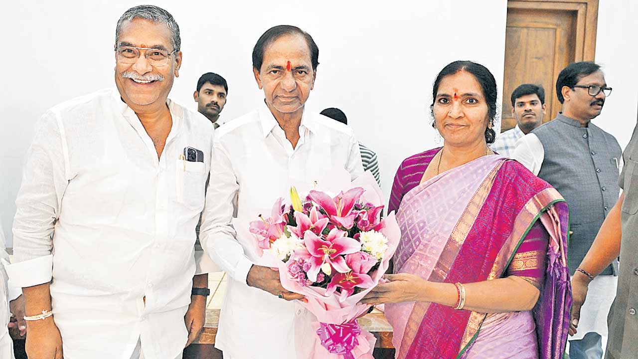 Medak3