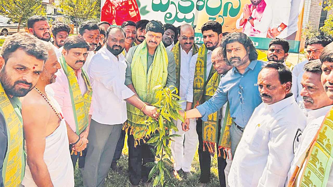 Medak4