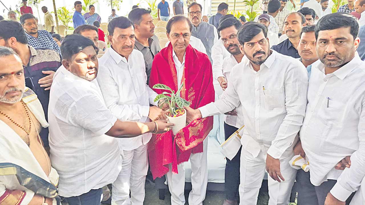 Medak7