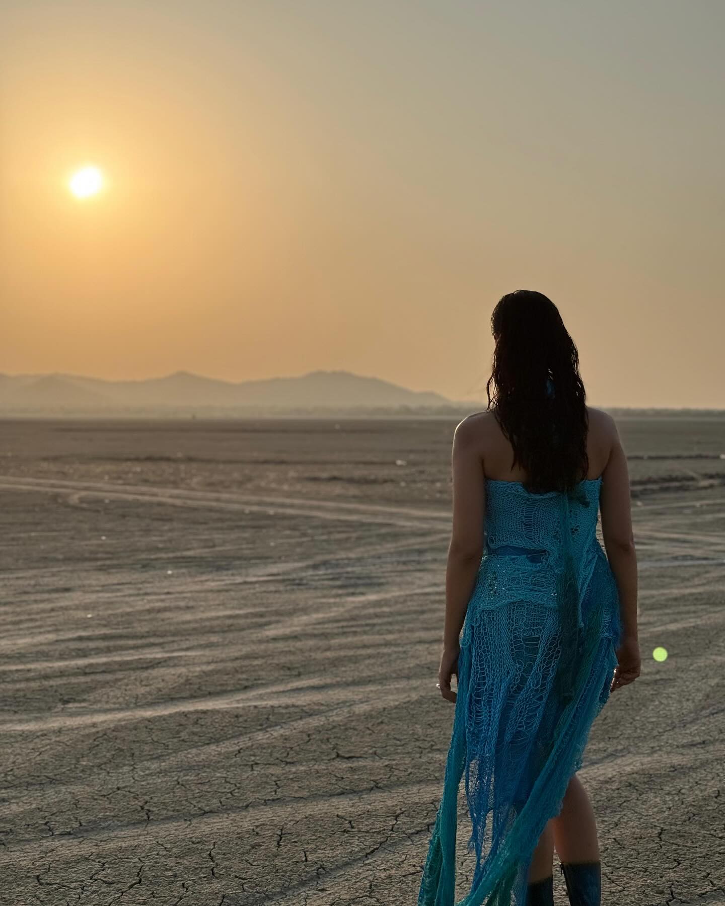 Meenakshi Chowdary (22)