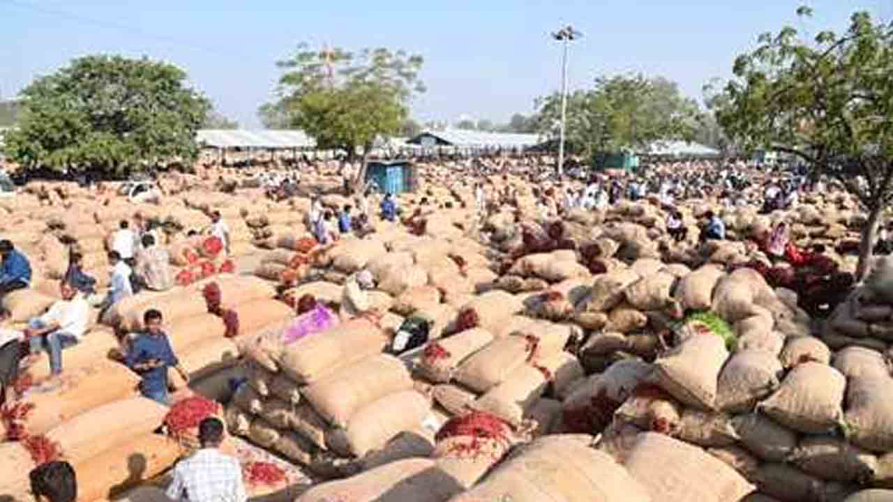 Khammam | ఖమ్మం మార్కెట్‌కు పోటెత్తిన మిర్చిపంట..