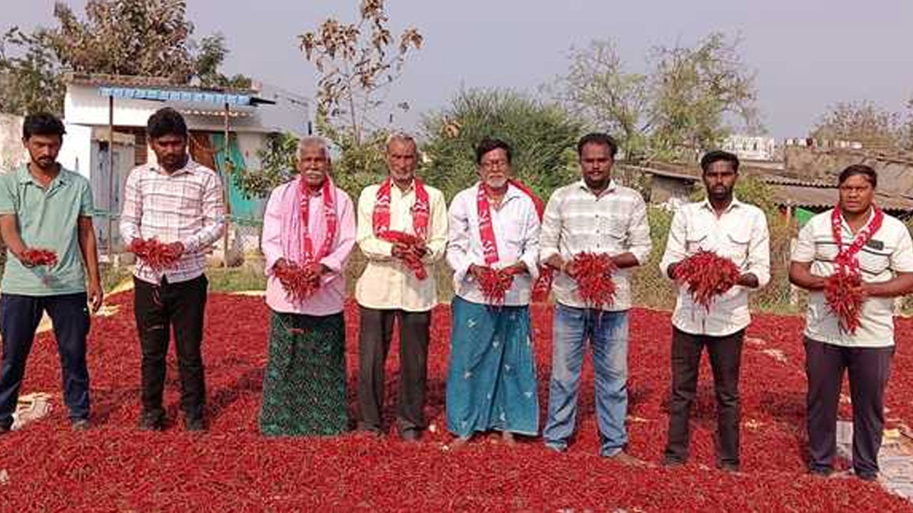 Kothagudem | మిర్చి పంటకు మద్దతు ధర 25 వేలు చెల్లించాలి: రైతు సంఘ నేతల డిమాండ్‌