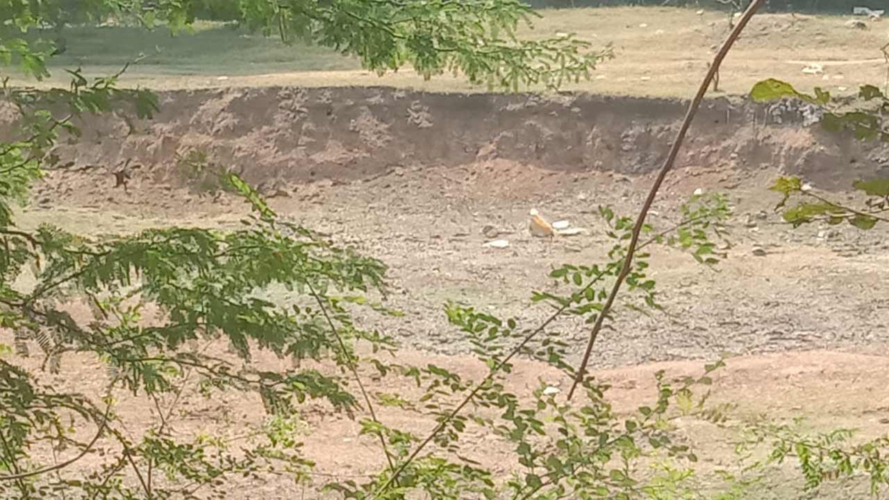 Nalgonda1