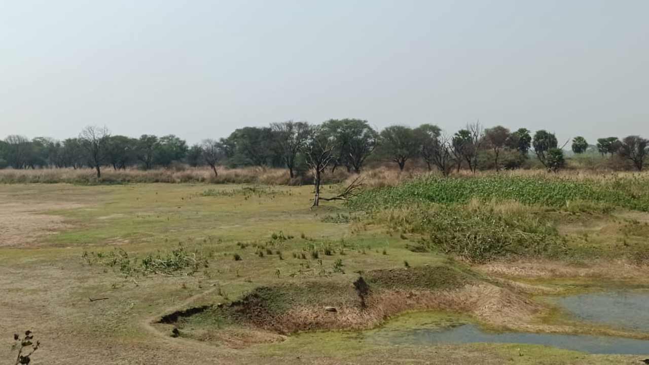 చెరువులు వెలవెల