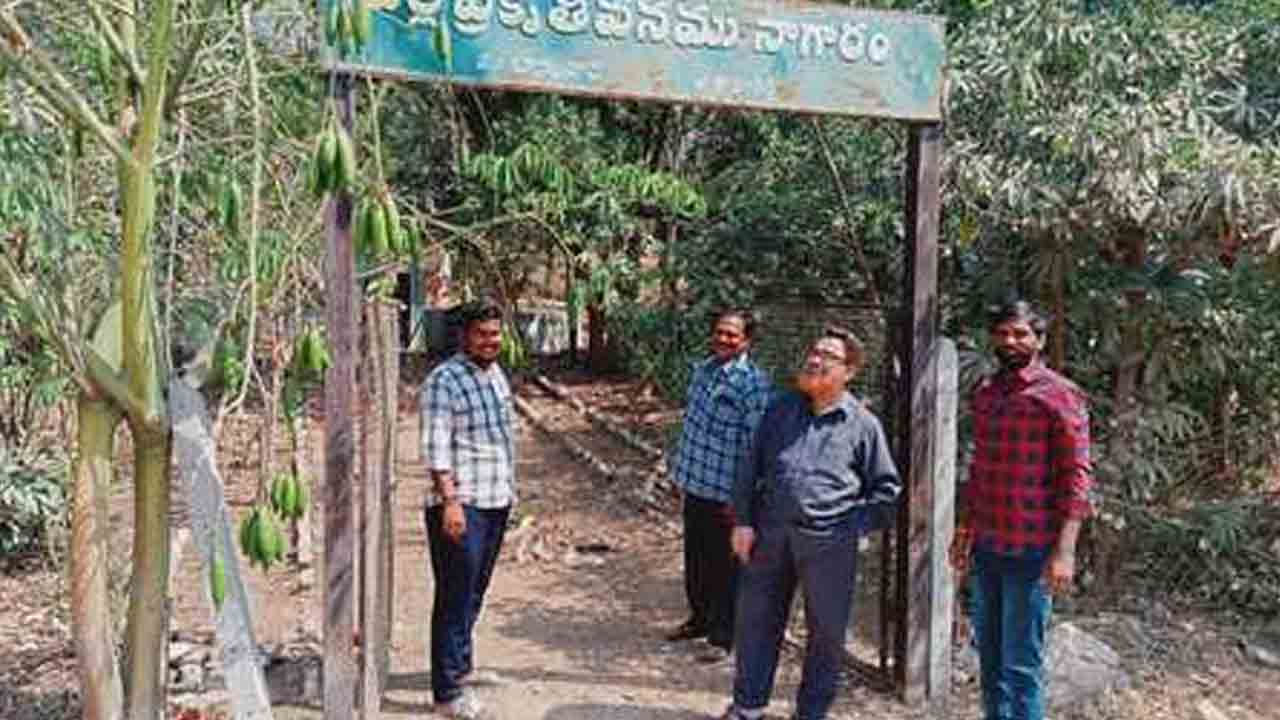 MPDO Basheeruddin | మొక్కలు ఎండిపోకుండా జాగ్రత్తలు తీసుకోవాలి : ఎంపీడీవో