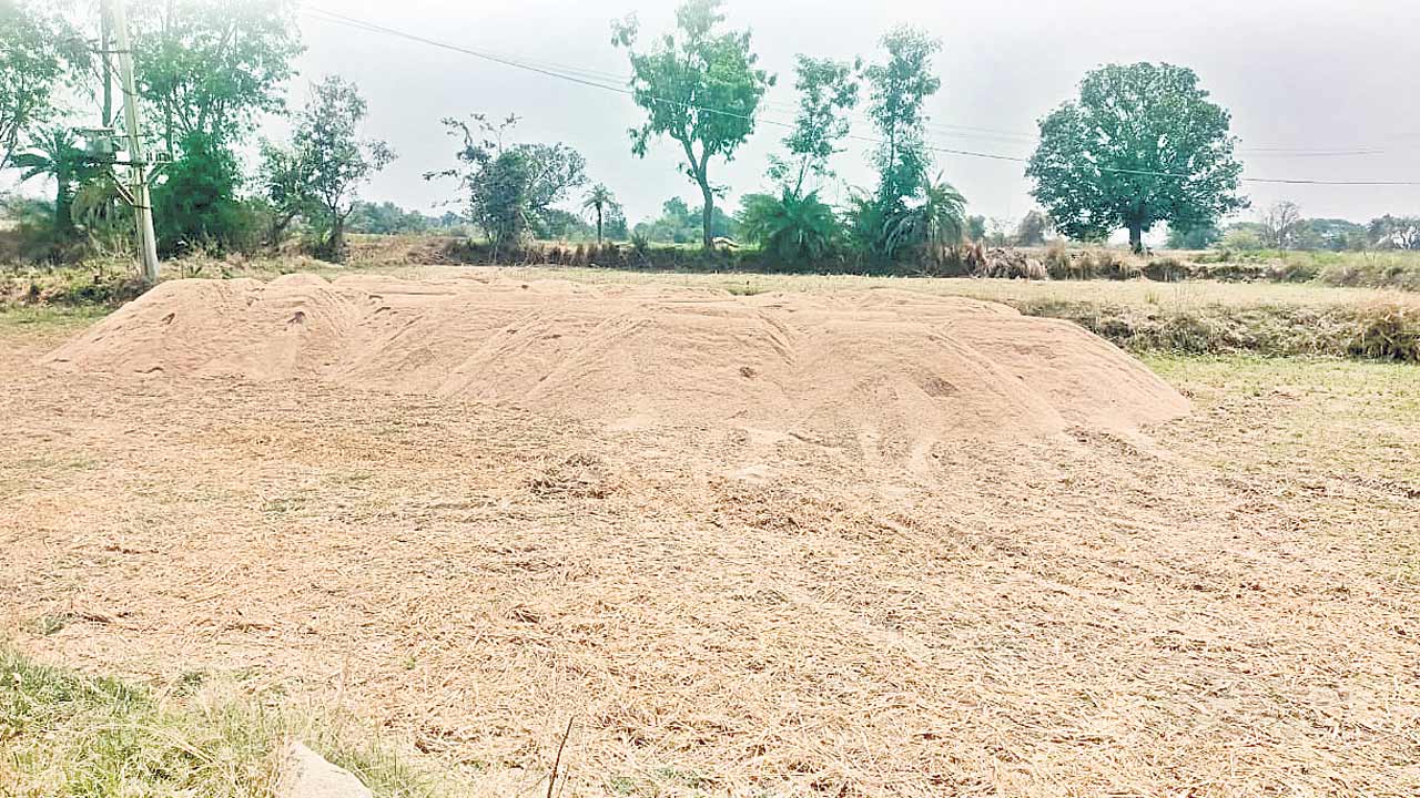 వాగులనూ తోడెస్తున్నారు..