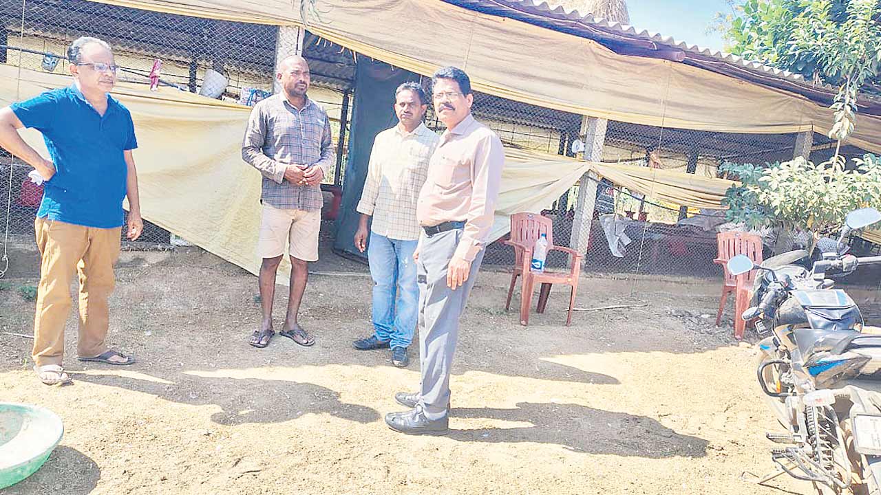 ల్యాబ్‌కు నమూనాలు