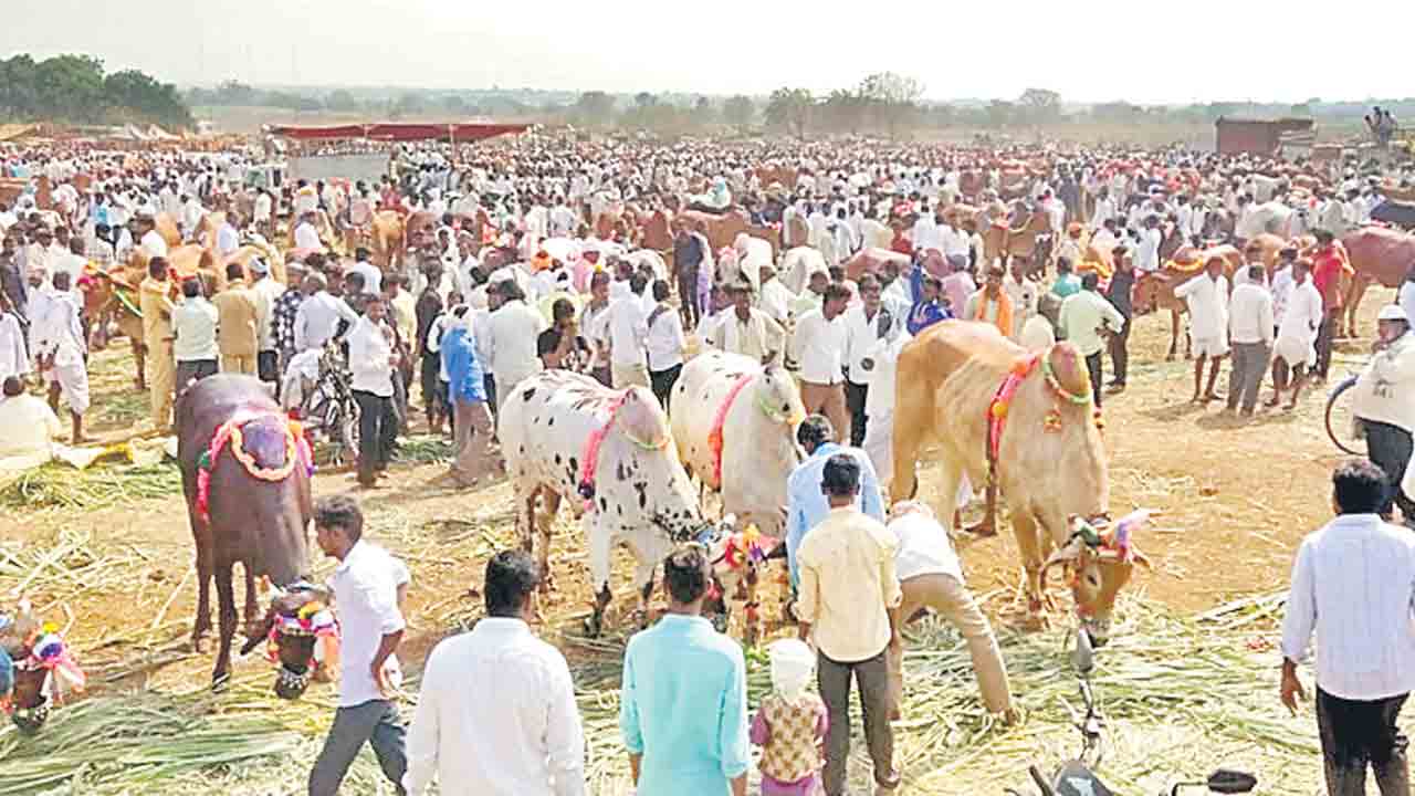 ఆకట్టుకున్న పశువుల జాతర