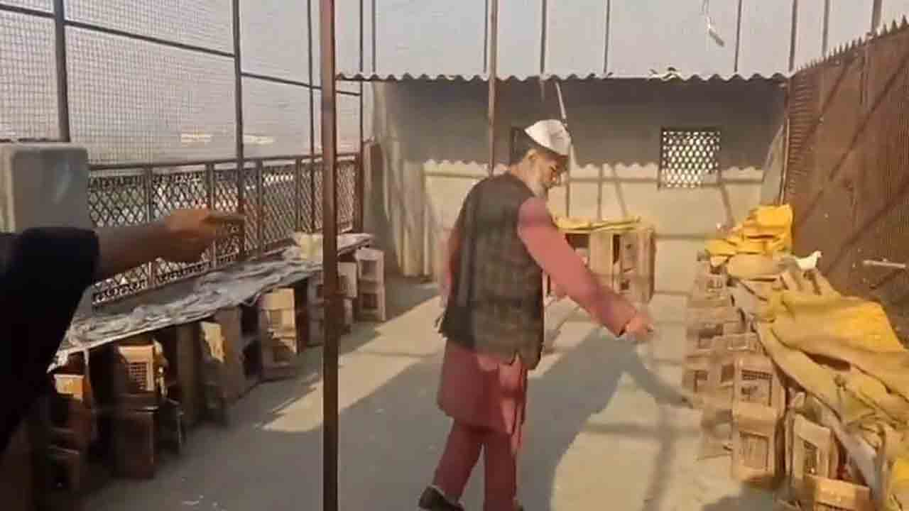 Pigeons Stolen | పది లక్షలకుపైగా విలువైన 400 పావురాలు చోరీ.. షాకైన యజమాని