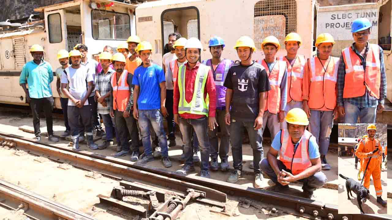 Slbc2
