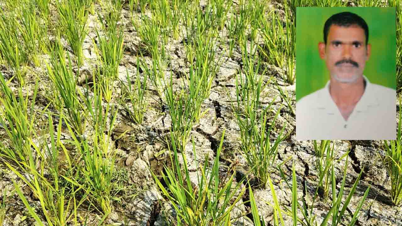 మగాణికి సాగునీరందక మనస్థాపంతో కౌలు రైతు ఆత్మహత్య..!