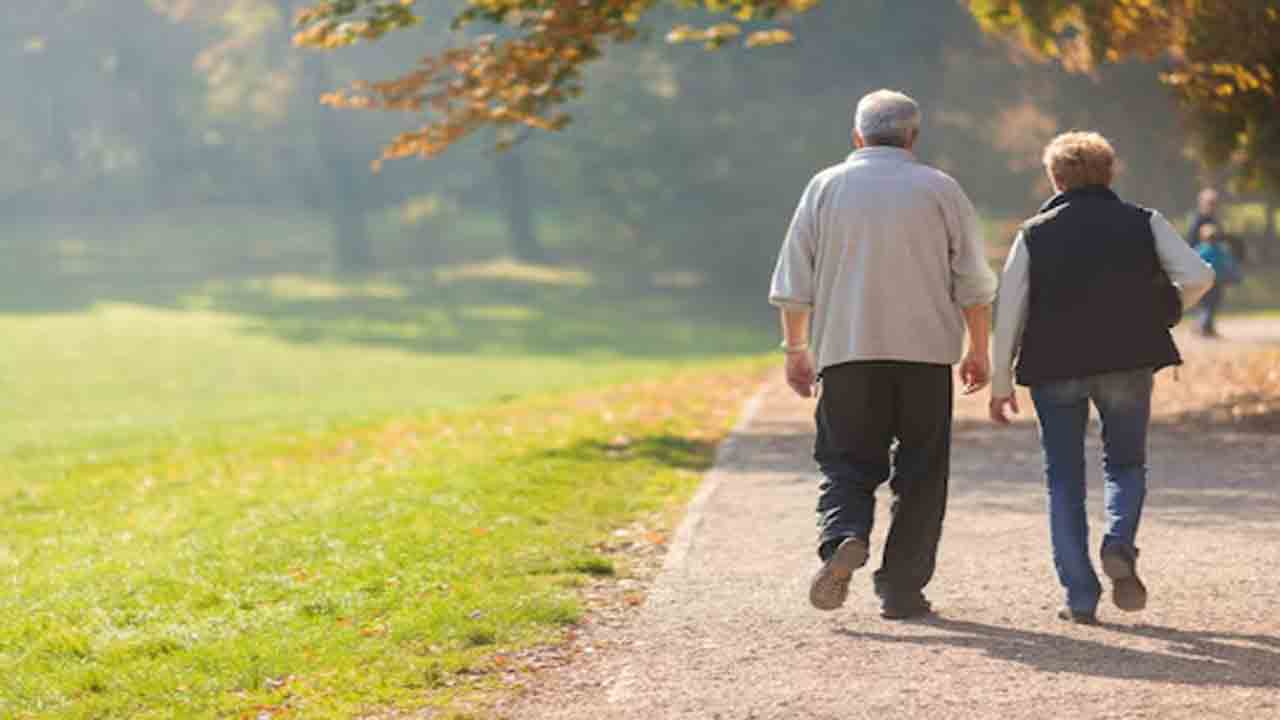 Union Budget 2025 | కేంద్ర బడ్జెట్‌లో సీనియర్‌ సిటిజన్లకు కల్పించిన ప్రయోజనాలు ఇవే