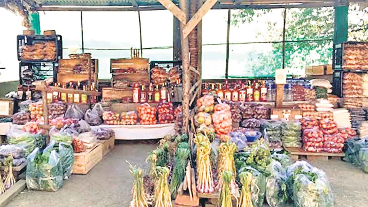 Nagaland | నమ్మకమే నగదుగా అక్కడ వ్యాపారం.. ఆ దుకాణాలకు కాపలా ఉండరు!