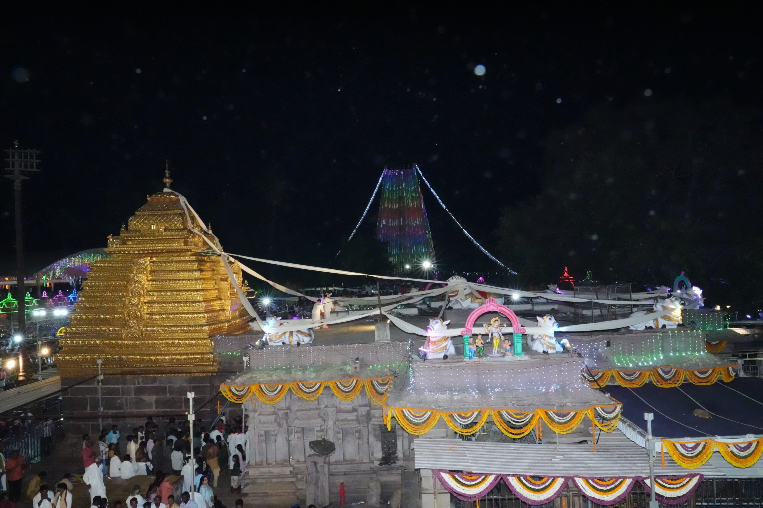 Srisailam Mallanna Pagalankarana