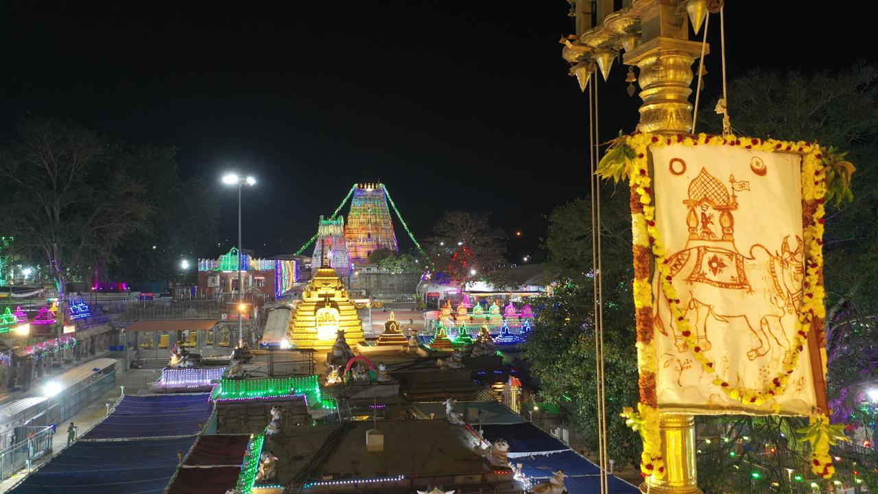 శ్రీశైలం : భ్రమరాంబ మల్లికార్జున స్వామి క్షేత్రమైన శ్రీశైలం ఆలయంలో మహాశివరాత్రి బ్రహ్మోత్సవాలు వైభవంగా ప్రారంభమయ్యాయి. 