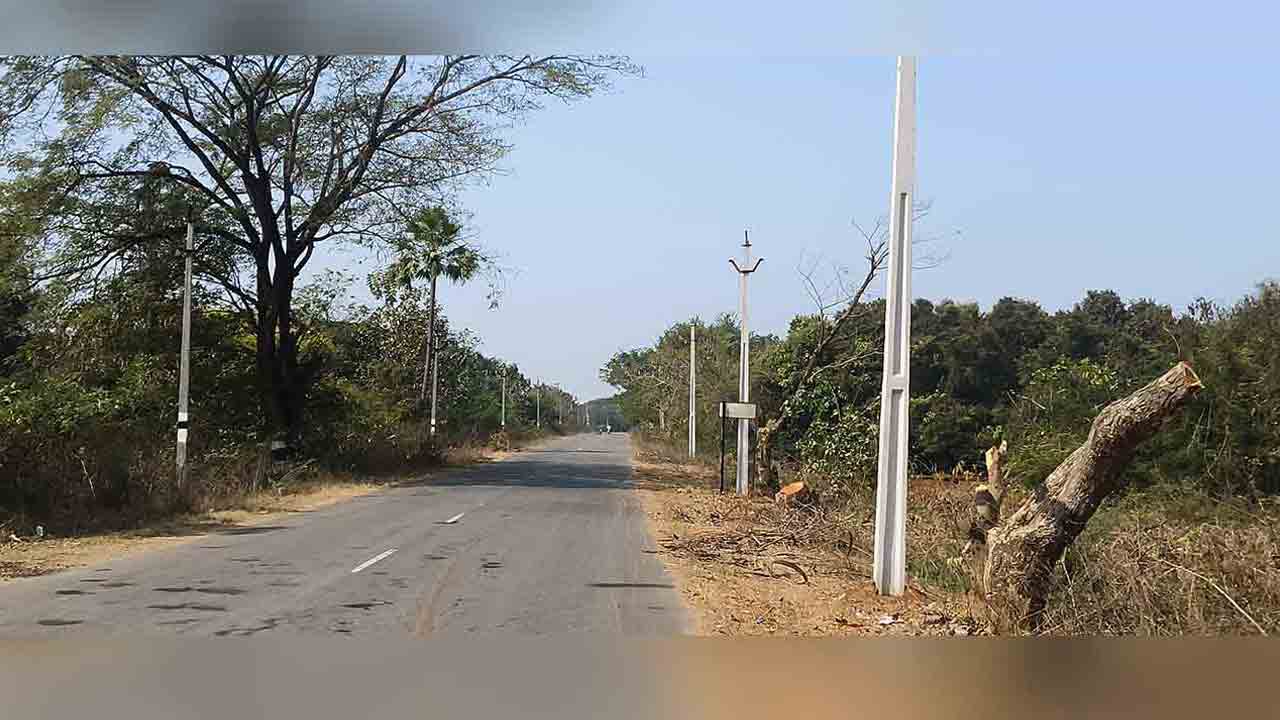 Trees Chooped Down |  ప్రైవేట్‌ సంస్థపై ఖమ్మం విద్యుత్‌ శాఖ అధికారుల ప్రేమ.. భక్తుల సేద తీర్చే వృక్షాలు నరికివేత..!