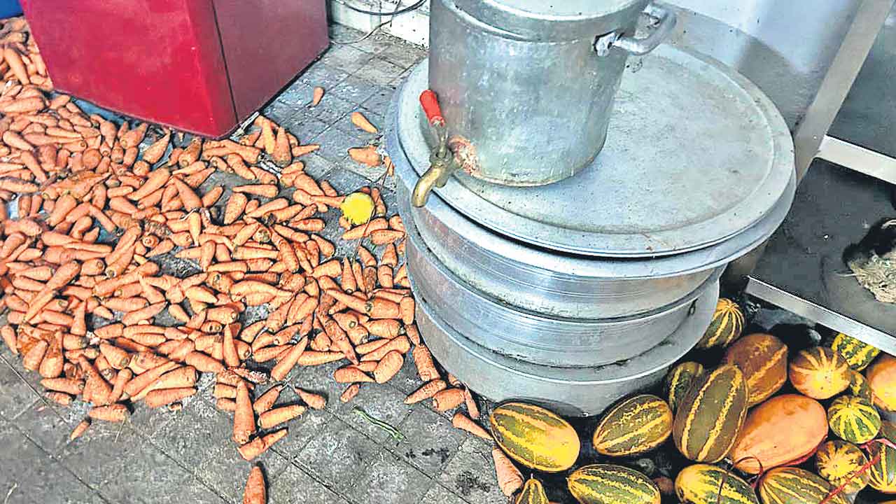 బొద్దింకలు.. కుళ్లిన కూరగాయలు