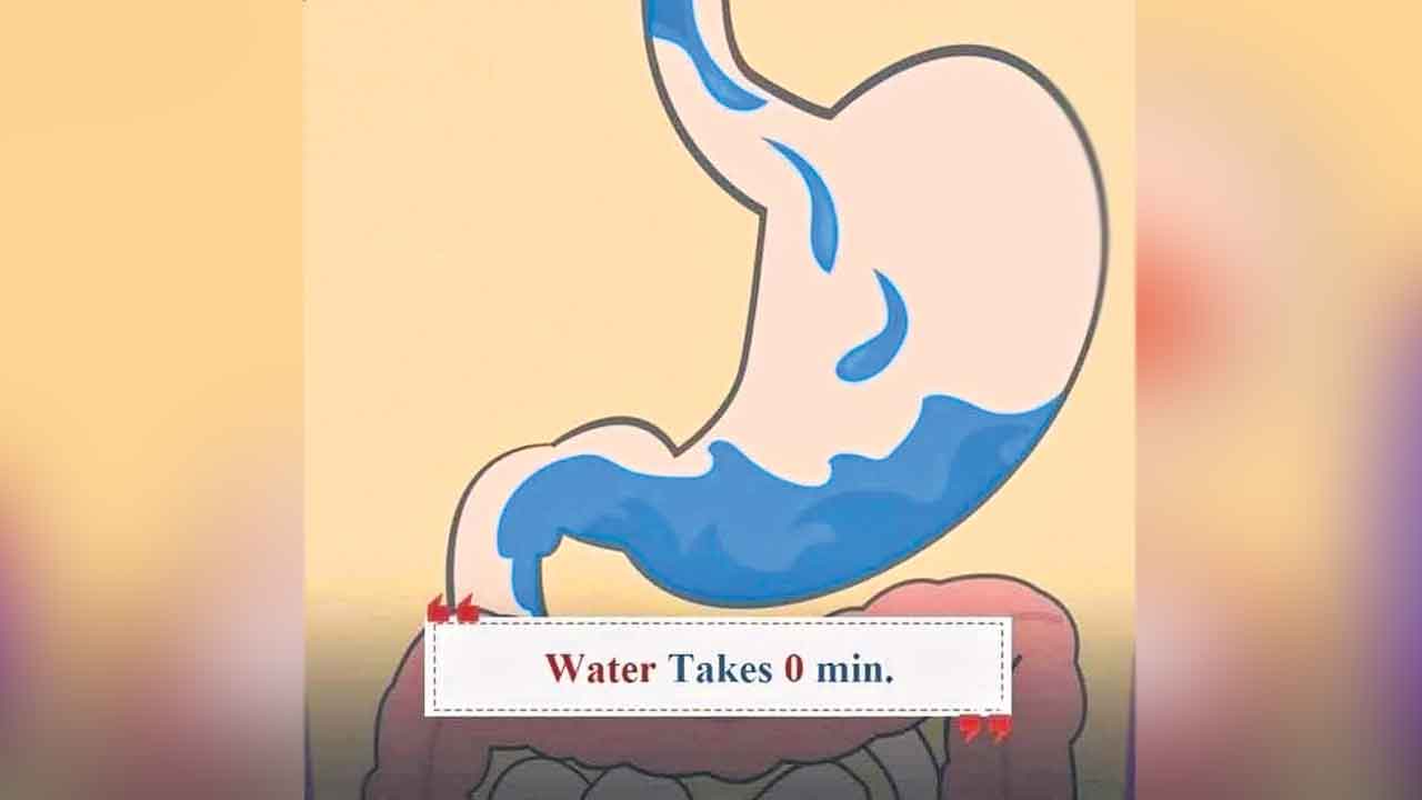 Water