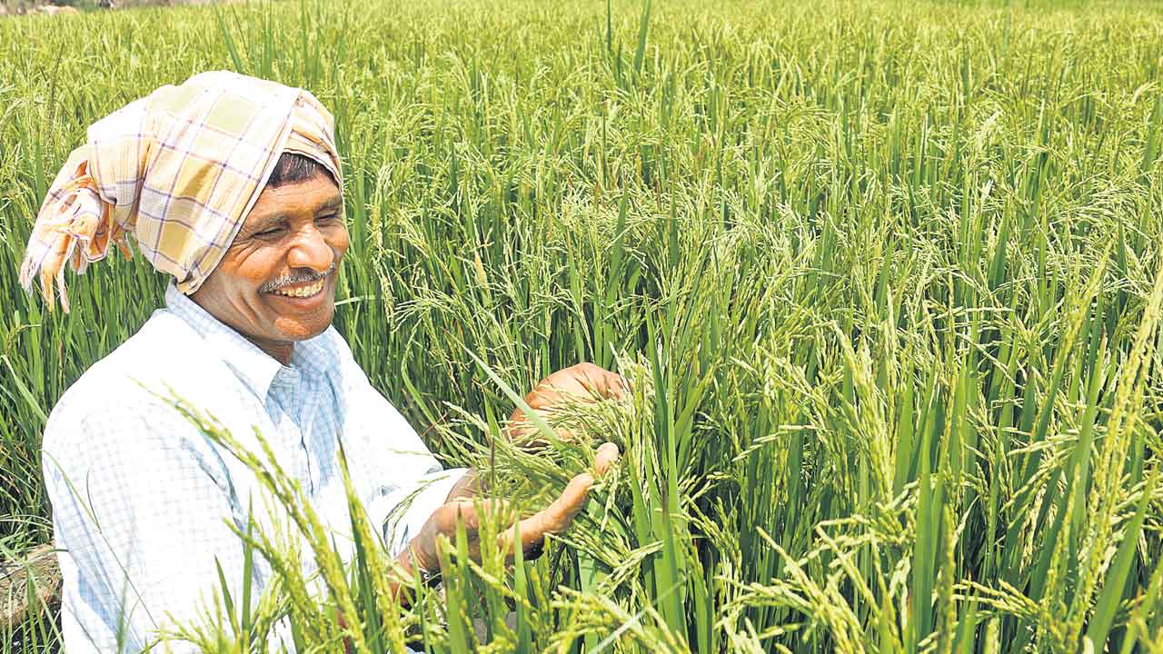 Economic Survey | వ్యవసాయం అవసరం.. రైతన్నకు ప్రభుత్వ చేయూత తప్పనిసరి: ఆర్థిక సర్వే