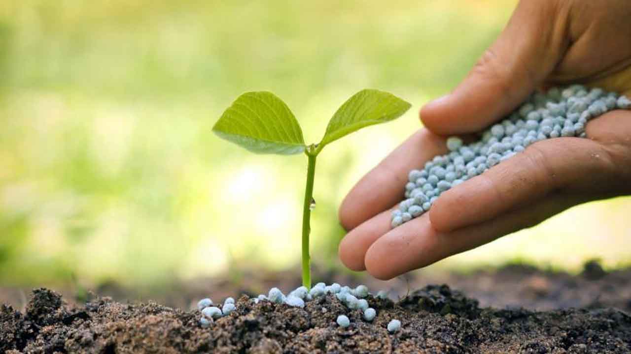 Shayampet | సబ్సిడీపై అందజేస్తున్న జీవ ఎరువులు సద్వినియోగం చేసుకోవాలి : అర్చన