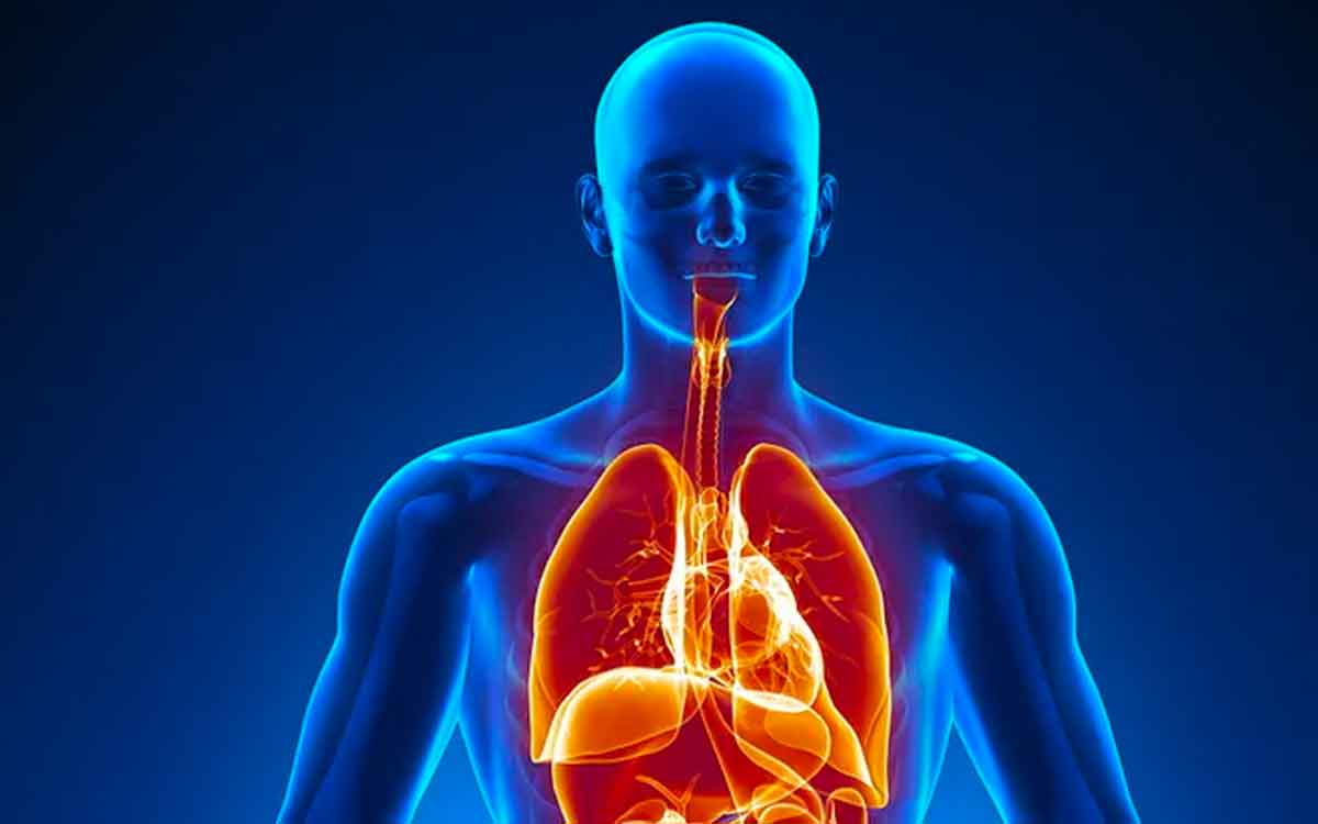 Body Detox Signs | ఈ ల‌క్ష‌ణాలు క‌నిపిస్తున్నాయా..? అయితే మీ శ‌రీరంలో టాక్సిన్లు పేరుకుపోయాయ‌ని అర్థం..!