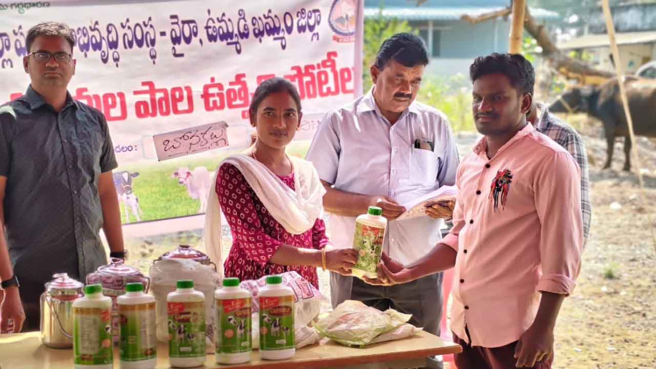 Animal nutrition | పశు పోషణపై రైతులు జాగ్రత్తల పాటించాలి