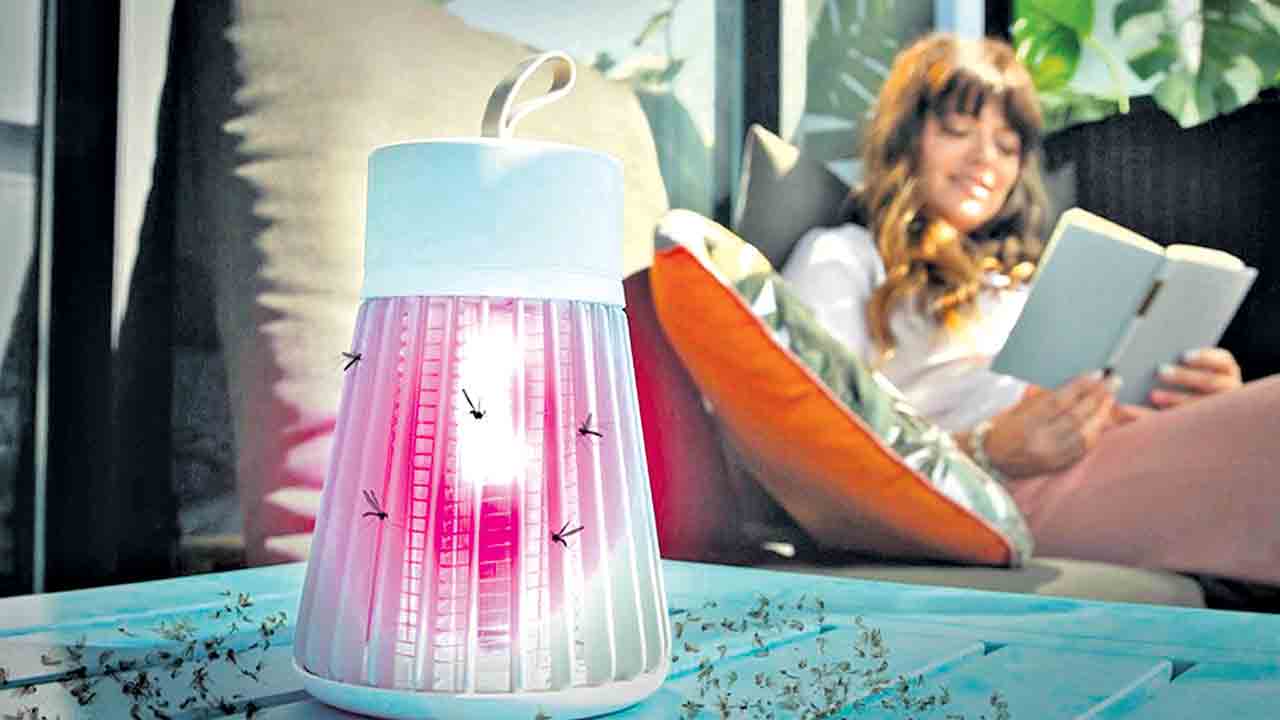 దోమలు లేని ఇల్లు!