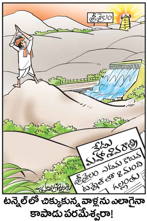 Cartoon