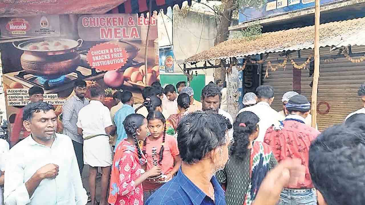 వెన్‌కాబ్‌ చికెన్‌, ఎన్‌ఈసీసీ ఆధ్వర్యంలో చికెన్‌ మేళా