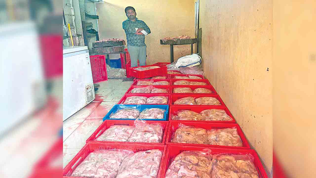 600 కిలోల హానికరమైన చికెన్‌ స్వాధీనం