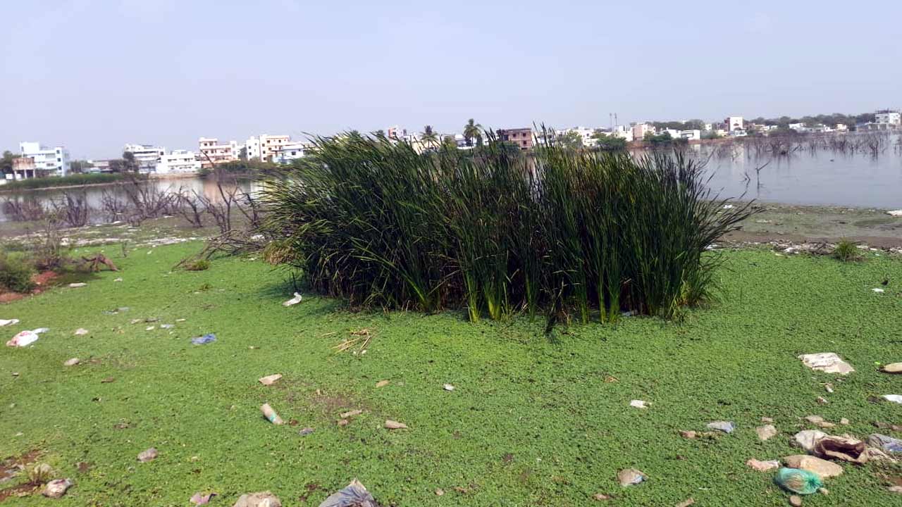 Chinthala Cheruvu1