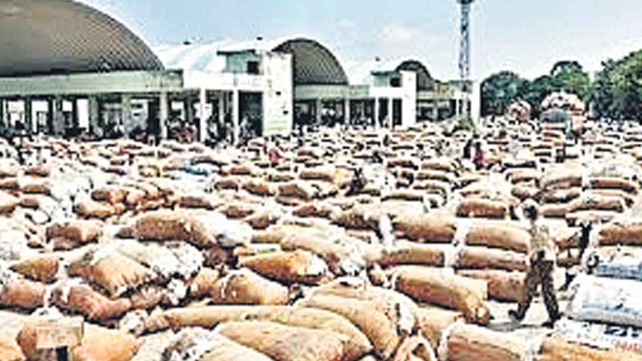 పత్తి కొనుగోళ్లలో భారీగా అక్రమాలు