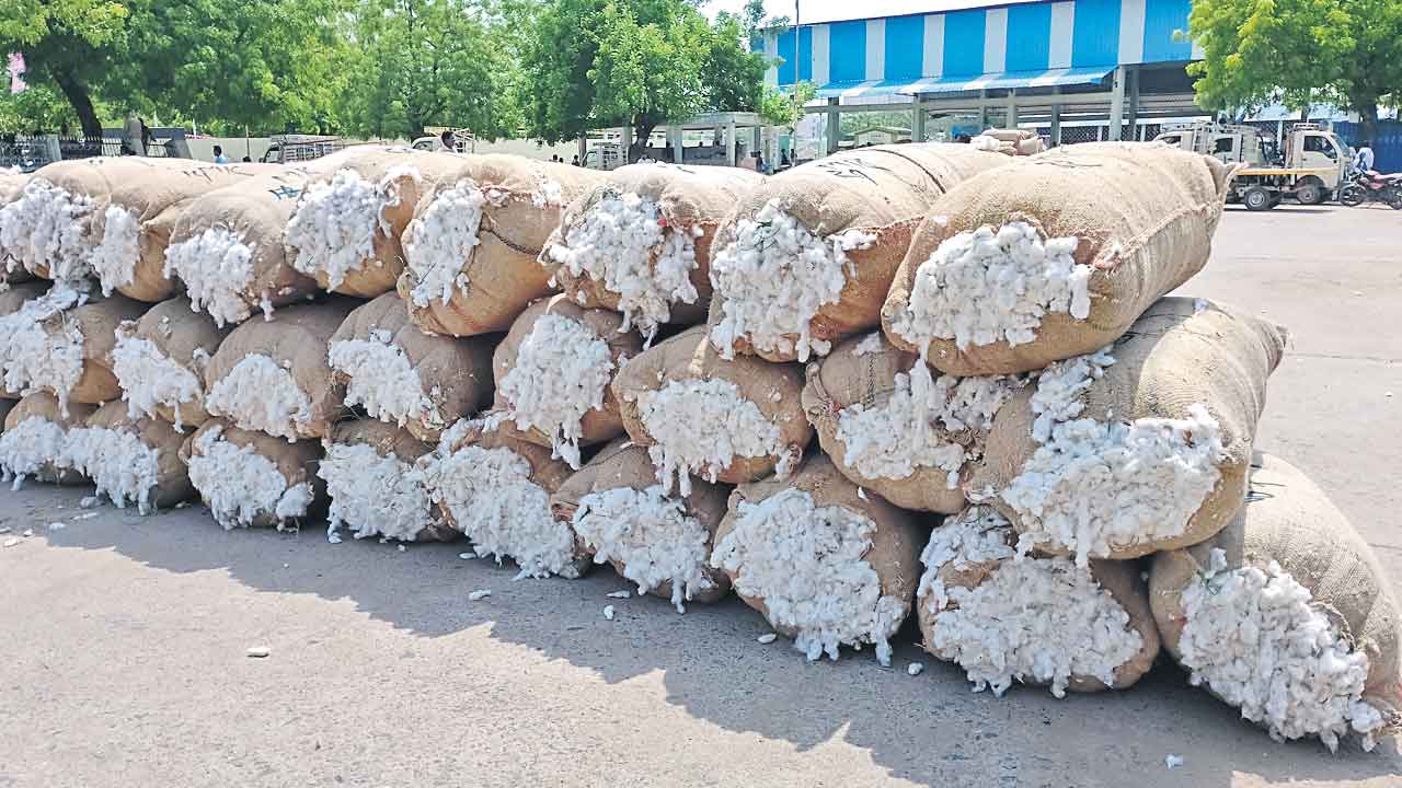 కొనుగోల్ మాల్!