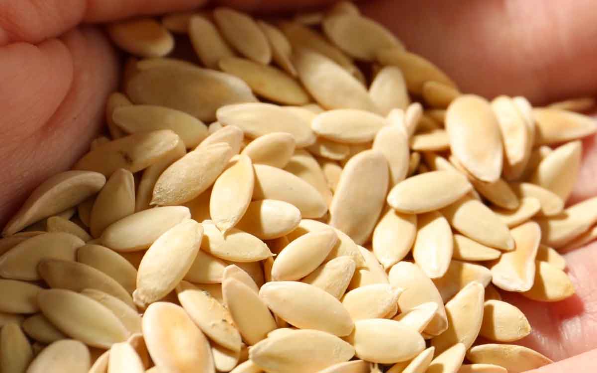 Cucumber Seeds | దోస‌కాయ‌ల‌ను కట్ చేసిన‌ప్పుడు విత్త‌నాల‌ను ప‌డేయ‌కండి.. వాటితో ఎన్నో లాభాలు ఉంటాయి..!