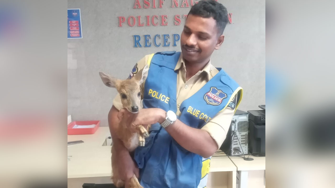 Deer | మెహదీపట్నంలో జింక ప్రత్యక్షం.. ఆశ్చ‌ర్య‌పోయిన స్థానికులు