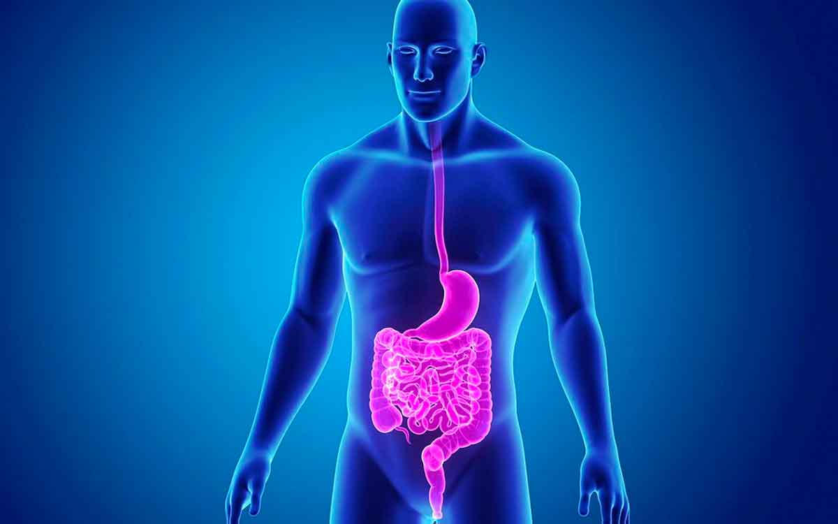 Digestive System | ఈ ల‌క్ష‌ణాలు క‌నిపిస్తున్నాయా..? అయితే మీ జీర్ణ వ్య‌వ‌స్థ ప‌నితీరు స‌రిగ్గా లేద‌ని అర్థం..!