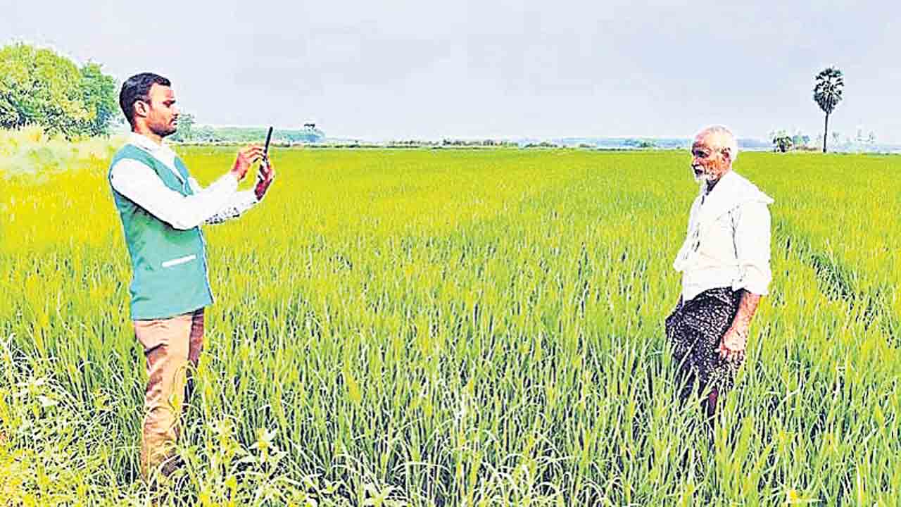 ఏ సర్వే నంబర్‌లో ఏ పంట.. రంగారెడ్డి జిల్లాలో పక్కాగా సాగుతున్న పంటల లెక్క