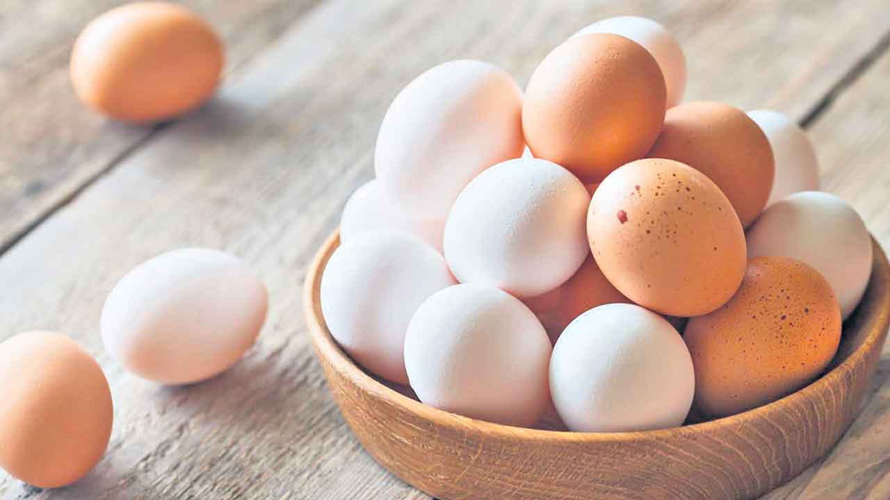 Eggs