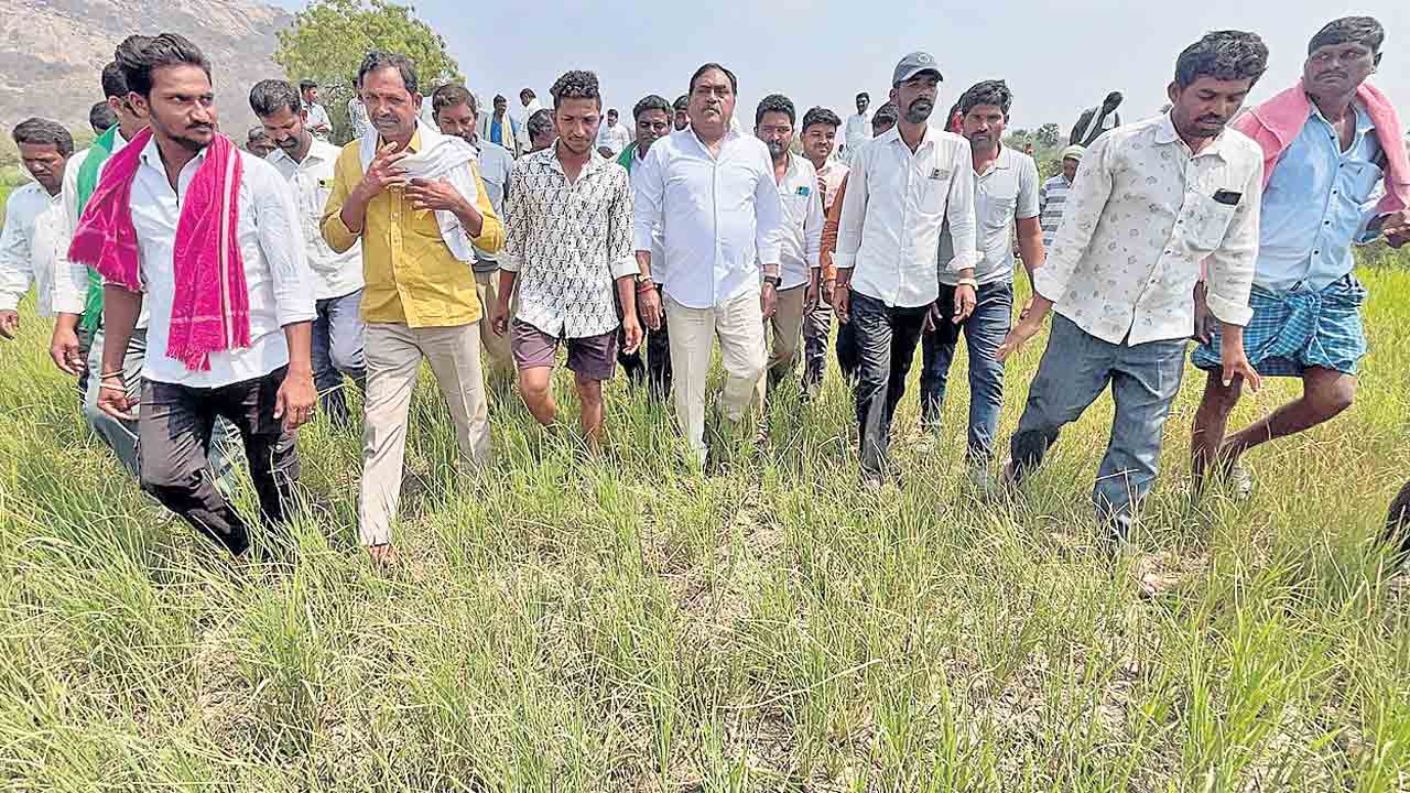 కాంగ్రెస్‌కు రైతుల ఉసురు తగులుతది