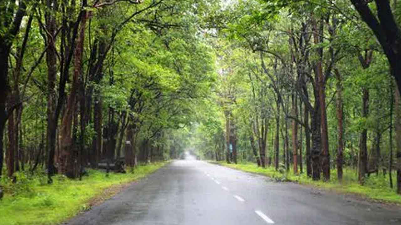 Eturunagaram sanctuary | అభయారణ్యంలో ఫాస్టాగ్ చెక్‌పోస్ట్‌ ఏర్పాటుకు శ్రీకారం