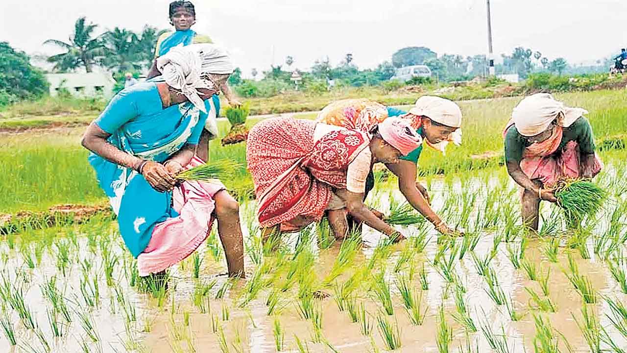 అయోమయం.. గందరగోళం