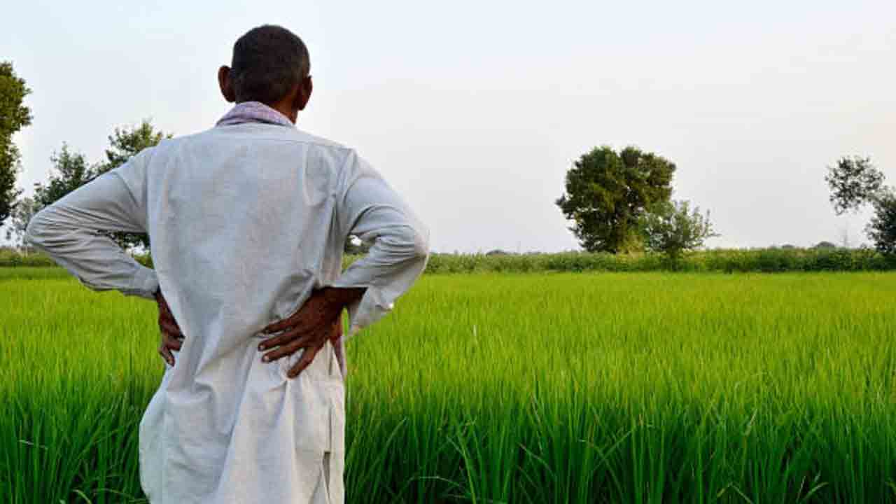 Paddy Bonus | అదును దాటిపోతున్నా.. అందని బోనస్‌.. 5 నెలలవుతున్నా రైతుల ఖాతాలో జమకాలే