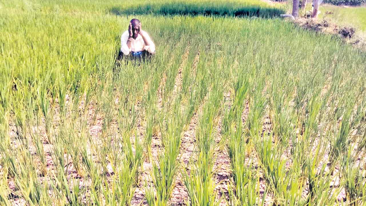 నీటి నిర్వాకం