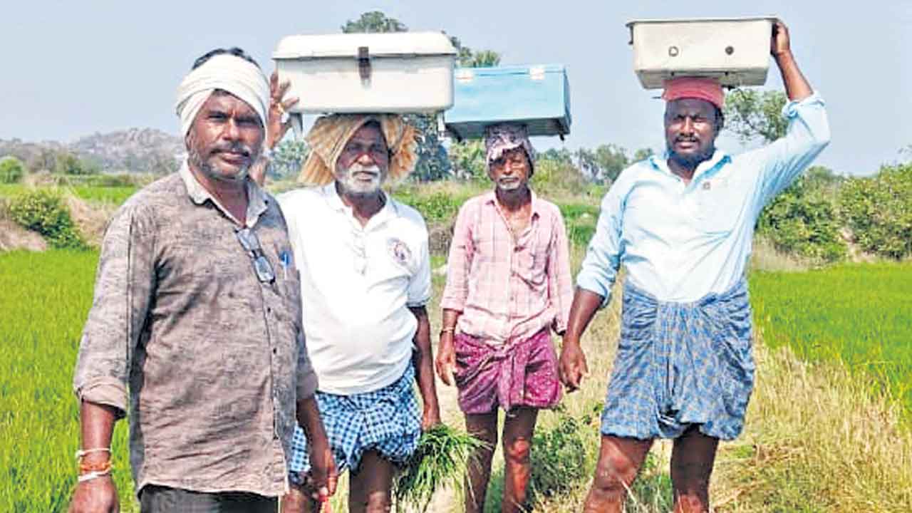 Telangana | పన్నులు కట్టలేదని స్టార్టర్లు ఎత్తుకెళ్లారు.. పంటలు ఎండుతున్నా రైతులకు తప్పని వేధింపులు!