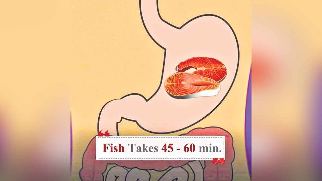Fish Meat