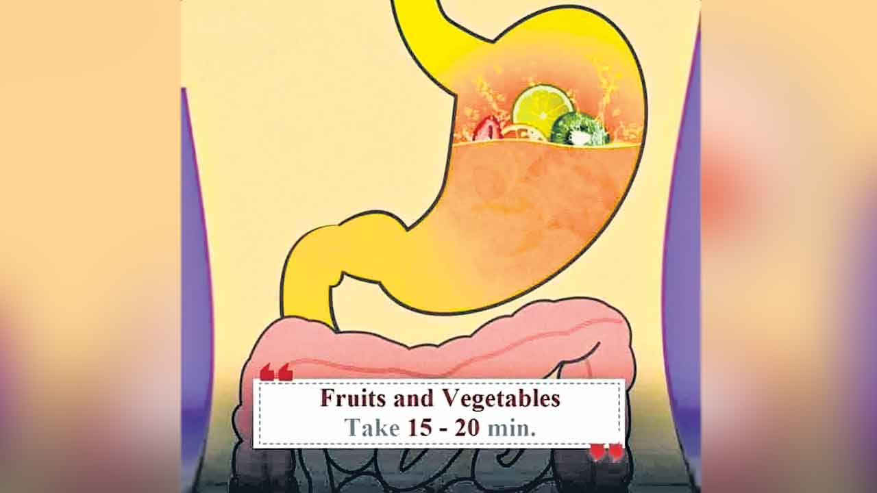 Fruits And Vegetables