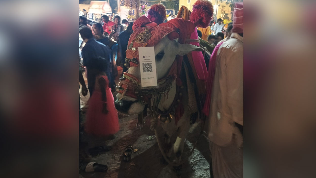 QR Code | గంగిరెద్దుకు క్యూఆర్‌ కోడ్‌.. ఆశ్చ‌ర్య‌పోయిన భ‌క్తులు